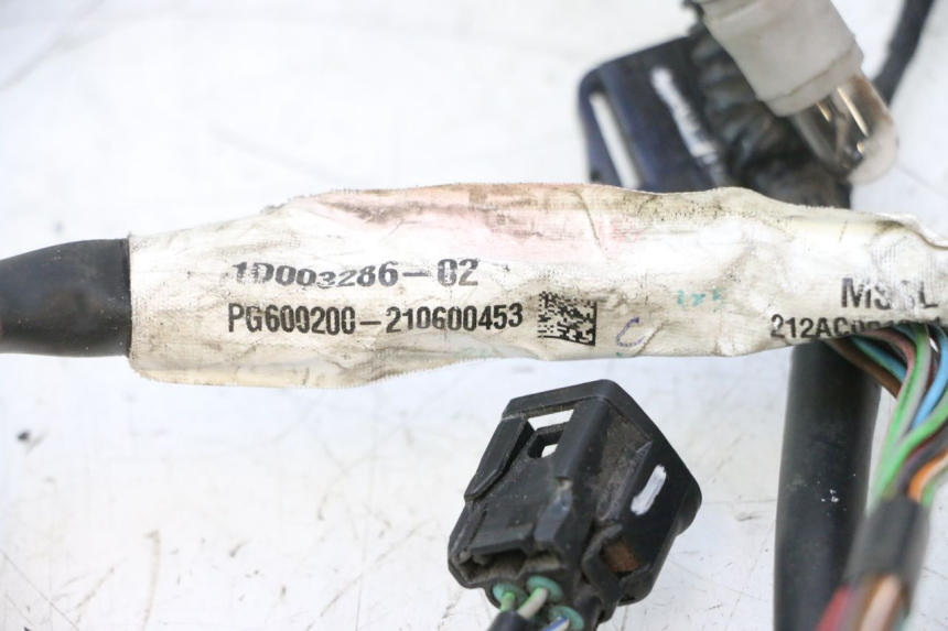 photo de FAISCEAU PIAGGIO LIBERTY IGET 4T 50 (2021 - 2025) - Photo complémentaire
