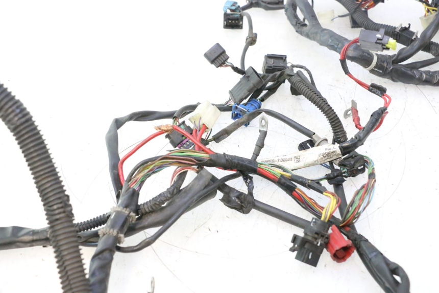 photo de FAISCEAU PIAGGIO LIBERTY IGET 4T 50 (2021 - 2025) - Focus structure