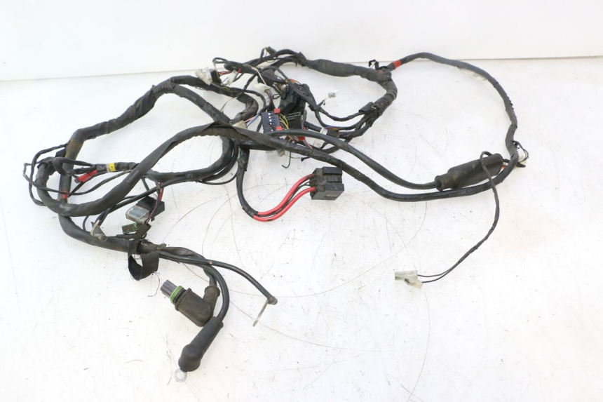 photo de FAISCEAU PIAGGIO LIBERTY 125 (1998 - 2008) - Vue rapprochée
