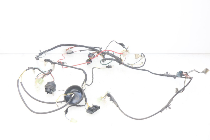 photo de FAISCEAU PEUGEOT LUDIX BLASTER 50 (2006 - 2014) - Vue d’ensemble