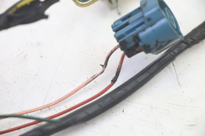 photo de FAISCEAU PEUGEOT LUDIX 50 (2008 - 2017) - Gros plan technique