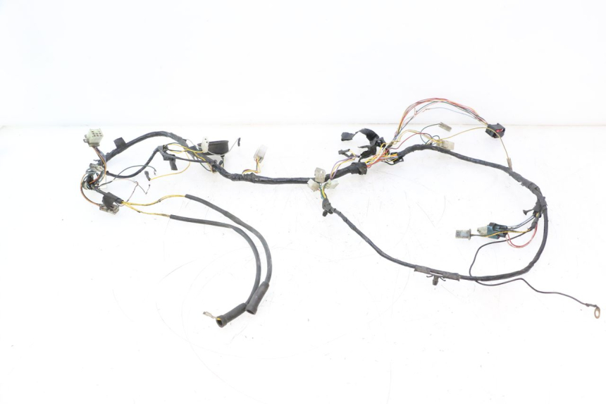 photo de FAISCEAU PEUGEOT LUDIX ONE 50 (2004 - 2013) - Vue principale
