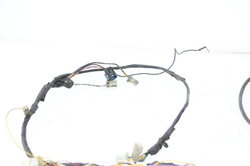 photo de FAISCEAU PEUGEOT LUDIX ONE 50 (2004 - 2013) - Vue d’ensemble