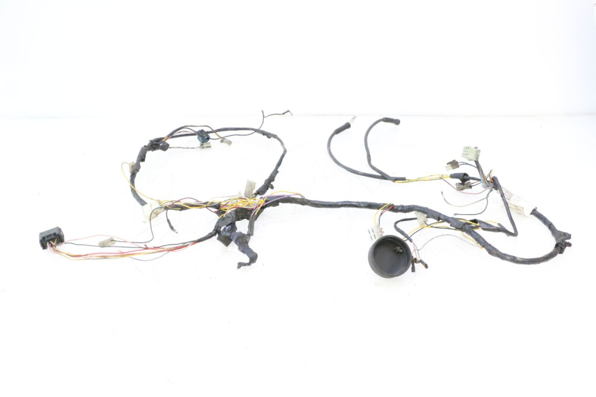 photo de FAISCEAU PEUGEOT LUDIX ONE 50 (2004 - 2013) - Marquages et références