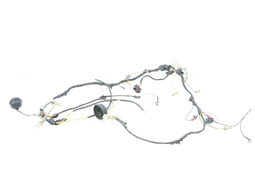 photo de FAISCEAU PEUGEOT LUDIX ONE 50 (2004 - 2006) - Inspection visuelle