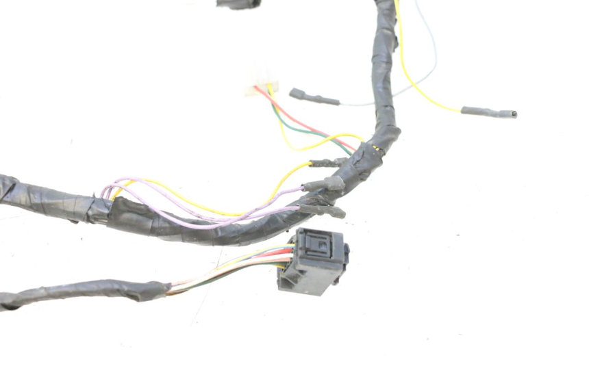 photo de FAISCEAU PEUGEOT LUDIX ONE 50 (2004 - 2006) - Marquages et références