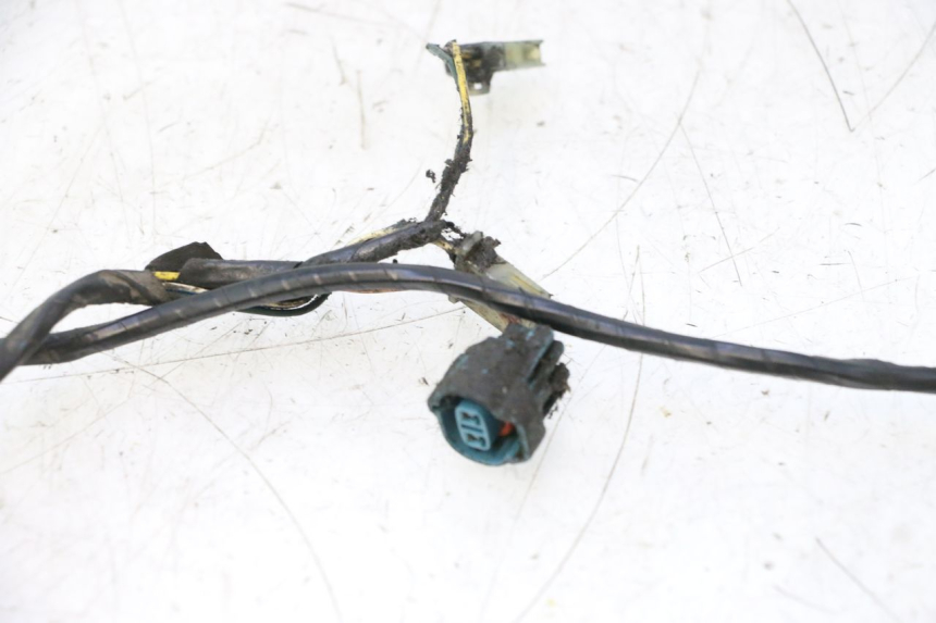 photo de FAISCEAU PEUGEOT LUDIX PRO 2T 50 (2010 - 2017) - Pièce contrôlée