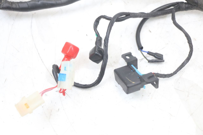 photo de FAISCEAU MASH LEGEND'R 4T 50 (2021 - 2025) - État de surface