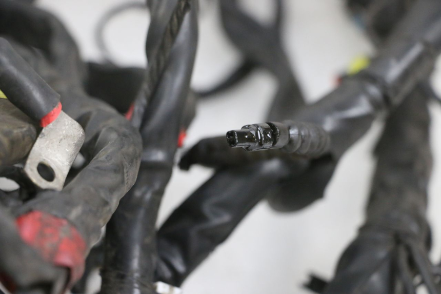 photo de FAISCEAU PIAGGIO MP3 RL 250 (2006 - 2010) - Détail de la pièce