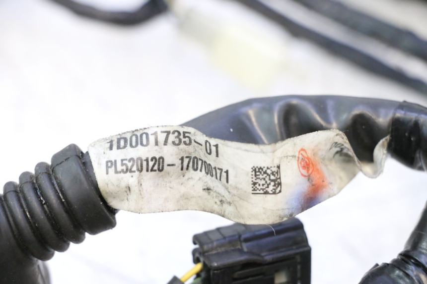 photo de FAISCEAU PIAGGIO MP3 500 (2016 - 2018) - Gros plan technique
