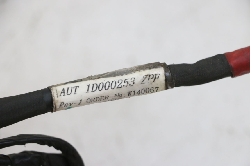 photo de FAISCEAU PIAGGIO NEW TYPHOON 50 (2010 - 2017) - Détail de la pièce