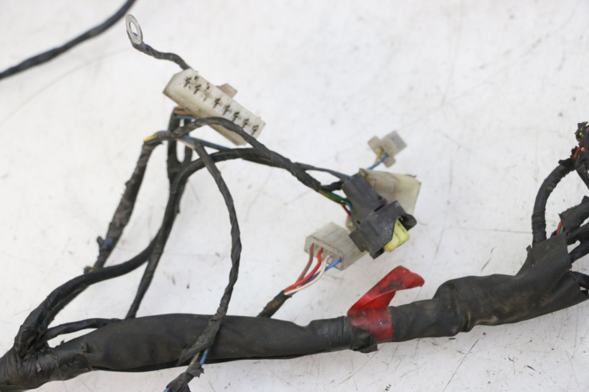 photo de FAISCEAU PIAGGIO NEW TYPHOON 50 (2010 - 2017) - Autre angle de vue