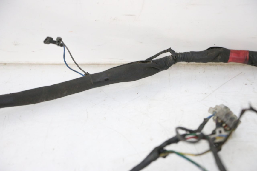 photo de FAISCEAU PIAGGIO NEW TYPHOON 50 (2010 - 2017) - Marquages et références