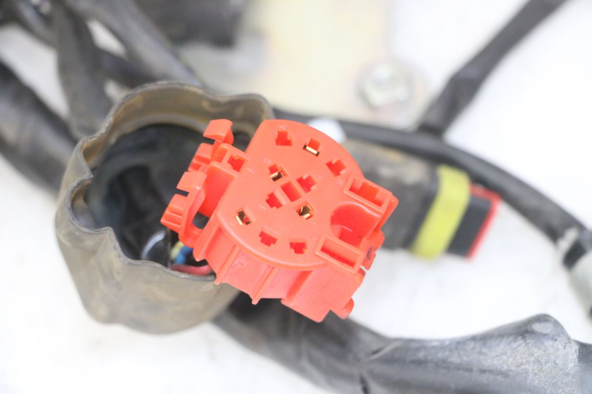 photo de FAISCEAU GILERA NEXUS 125 (2009 - 2013) - Zoom composants