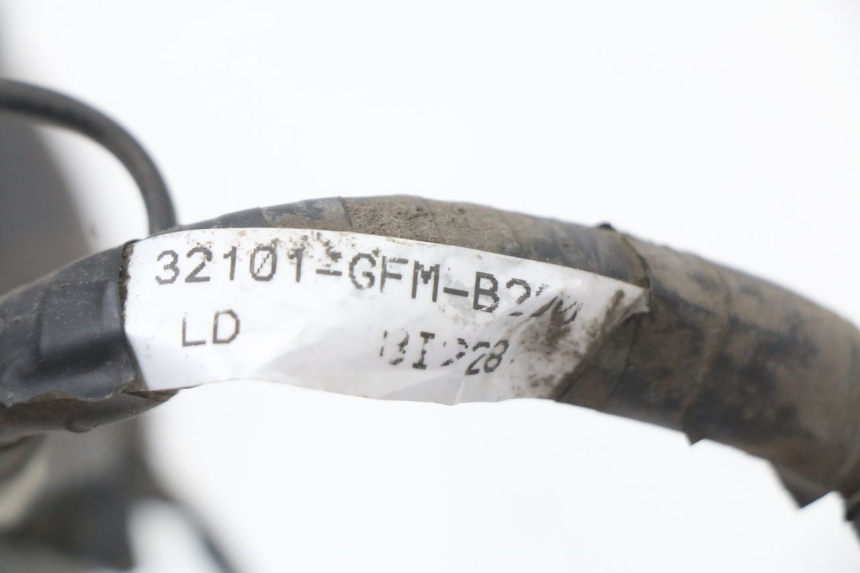 photo de FAISCEAU HONDA NHX LEAD 110 (2008 - 2010) - Vue rapprochée