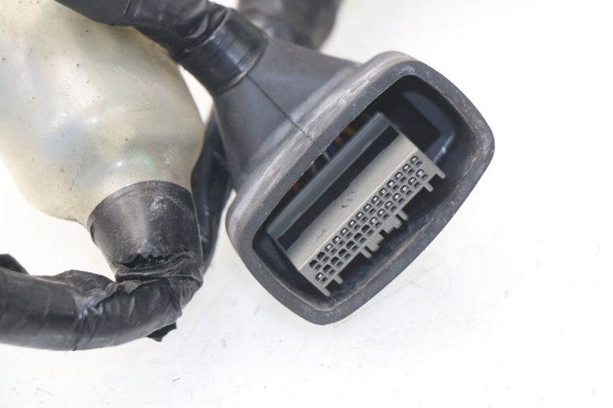 photo de FAISCEAU HONDA NSS EX FORZA 250 (2005 - 2013) - Vue d’ensemble