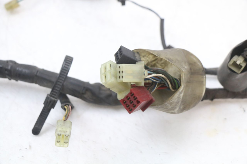 photo de FAISCEAU HONDA NTV DEAUVILLE 650 (1998 - 2001) - Gros plan technique