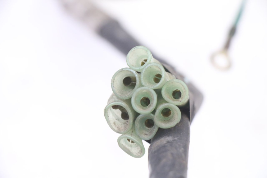 photo de FAISCEAU HONDA NTV DEAUVILLE 650 (2001 - 2006) - Autre angle de vue