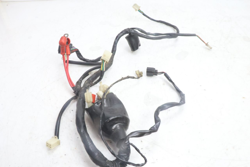 photo de FAISCEAU JM MOTORS OLDIES 4T 50 (2010 - 2020) - Autre angle de vue