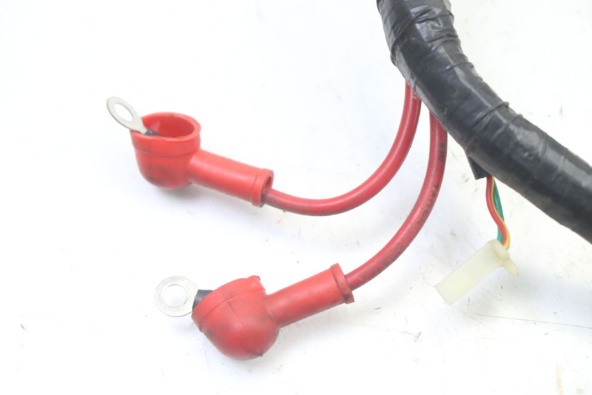 photo de FAISCEAU JM MOTORS OLDIES GT 4T 50 (2018 - 2025) - Autre angle de vue