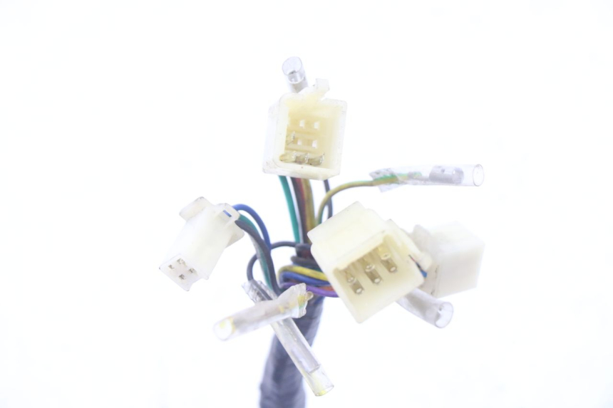 photo de FAISCEAU JM MOTORS OLDIES GT 4T 50 (2018 - 2025) - Marquages et références