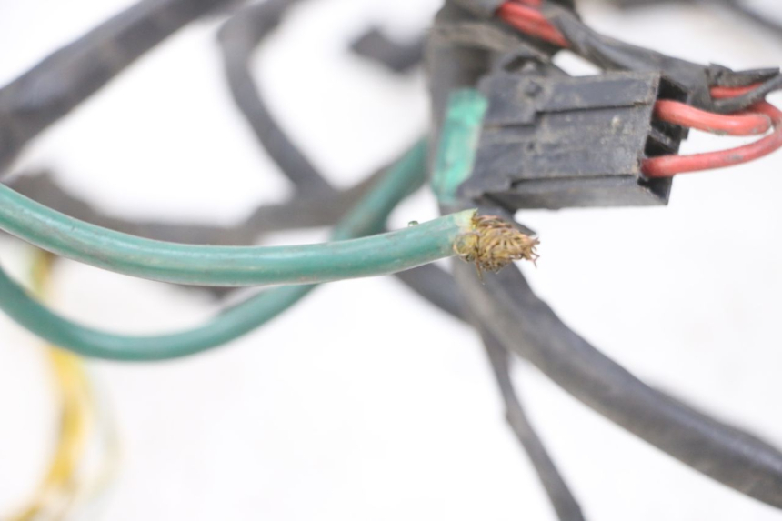 photo de FAISCEAU PEUGEOT ELYSTAR 125 (2002 - 2007) - Zoom état d’usage