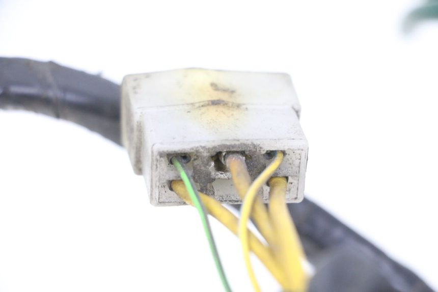 photo de FAISCEAU PEUGEOT ELYSTAR 125 (2002 - 2007) - Gros plan technique