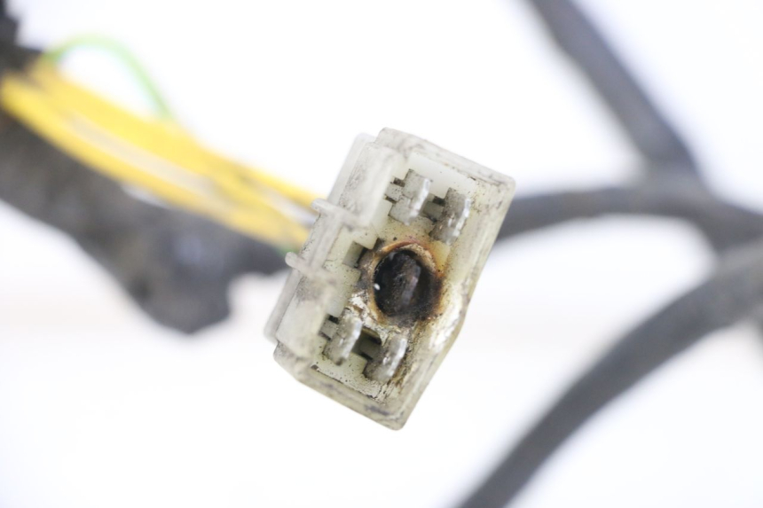 photo de FAISCEAU PEUGEOT ELYSTAR 125 (2002 - 2007) - Vue d’ensemble