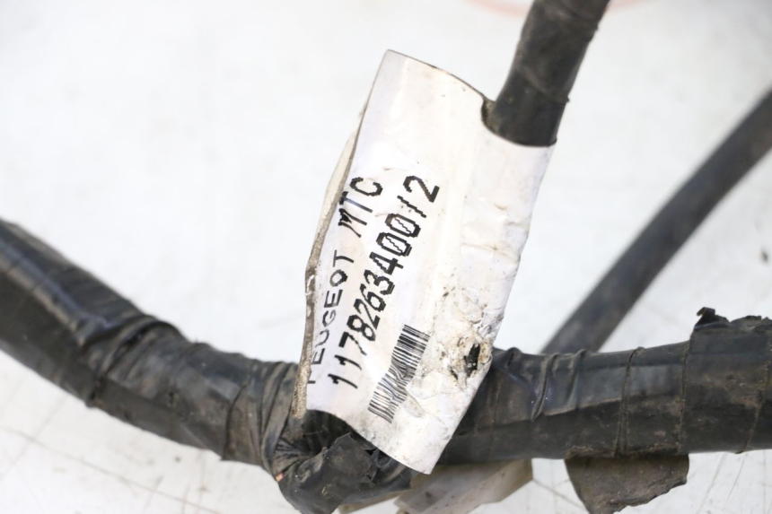 photo de FAISCEAU PEUGEOT SATELIS 125 (2013 - 2018) - Gros plan technique