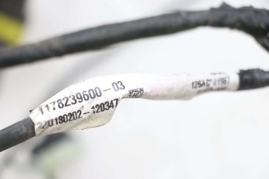 photo de FAISCEAU PEUGEOT SATELIS 125 (2013 - 2018) - Zoom état d’usage