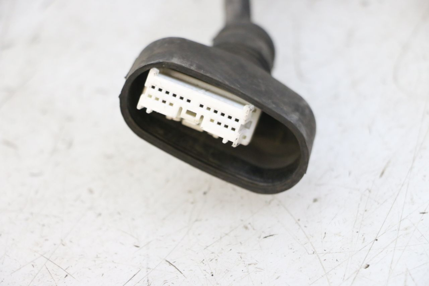 photo de FAISCEAU PEUGEOT VIVACITY 125 (2010 - 2017) - Gros plan technique