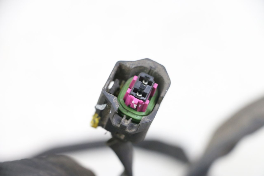 photo de FAISCEAU PIAGGIO LIBERTY IGET 4T 50 (2021 - 2025) - Détail de la pièce