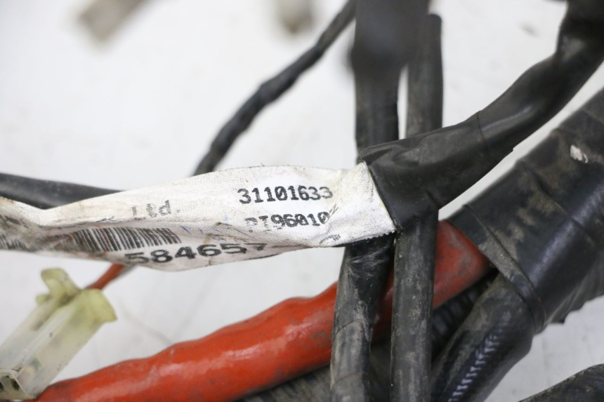 photo de FAISCEAU PIAGGIO VESPA GRANTURISMO 200 (2004 - 2005) - Détail de la pièce