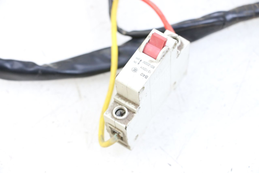 photo de FAISCEAU DOLPHIN PYGMY 1 (2020 - 2024) - Détail de la pièce