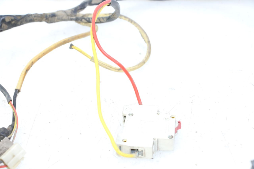 photo de FAISCEAU DOLPHIN PYGMY 1 (2020 - 2024) - Vue d’ensemble