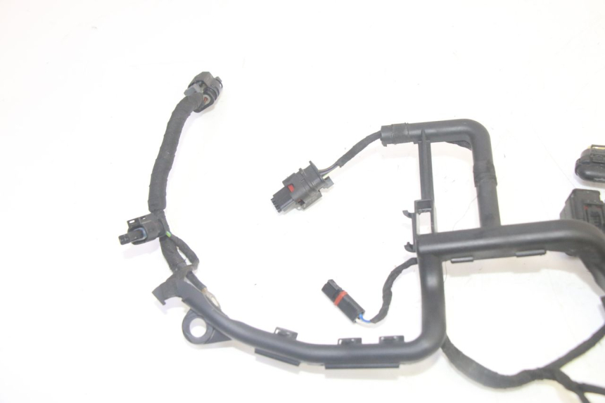 photo de FAISCEAU BMW R GS 1250 (2021 - 2024) - Marquages et références