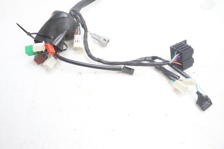 photo de FAISCEAU JM MOTORS R-MAX TECH 50 (2024 - 2026) - Détail de la pièce