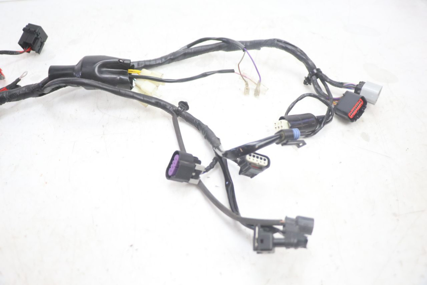 photo de FAISCEAU JM MOTORS R-MAX TECH 50 (2024 - 2026) - Gros plan technique