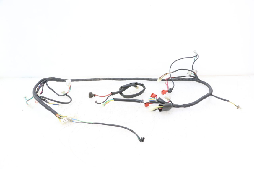 photo de FAISCEAU TNT MOTOR ROMA 10' 2T 50 (2011 - 2018) - Vue principale