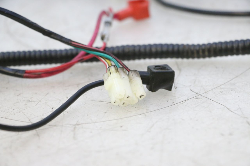 photo de FAISCEAU TNT MOTOR ROMA 10' 2T 50 (2011 - 2018) - Zoom état d’usage