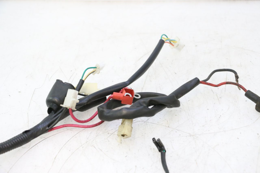 photo de FAISCEAU TNT MOTOR ROMA 10' 2T 50 (2011 - 2018) - Autre angle de vue