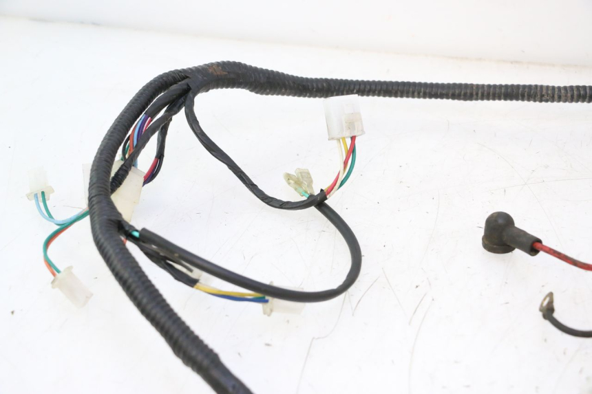 photo de FAISCEAU TNT MOTOR ROMA 10' 2T 50 (2011 - 2018) - Marquages et références