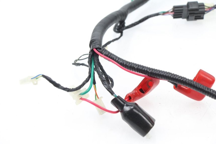 photo de FAISCEAU TNT MOTOR ROMA 10' 4T 50 (2007 - 2018) - Pièce contrôlée