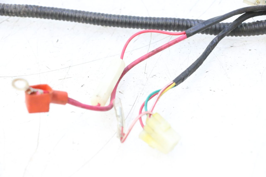 photo de FAISCEAU TNT MOTOR ROMA 10' 4T 50 (2007 - 2018) - Vue d’ensemble