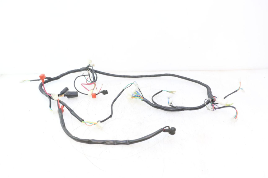 photo de FAISCEAU TNT MOTOR ROMA 12' 2T 50 (2007 - 2018) - Vue principale
