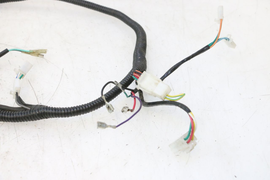 photo de FAISCEAU TNT MOTOR ROMA 12' 2T 50 (2007 - 2018) - Vue produit