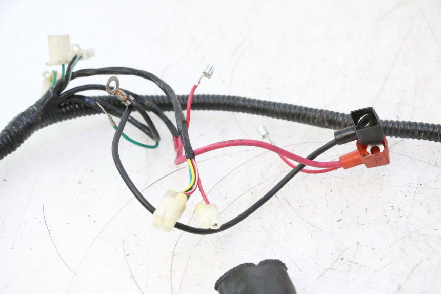 photo de FAISCEAU TNT MOTOR ROMA 12' 2T 50 (2007 - 2018) - Autre angle de vue