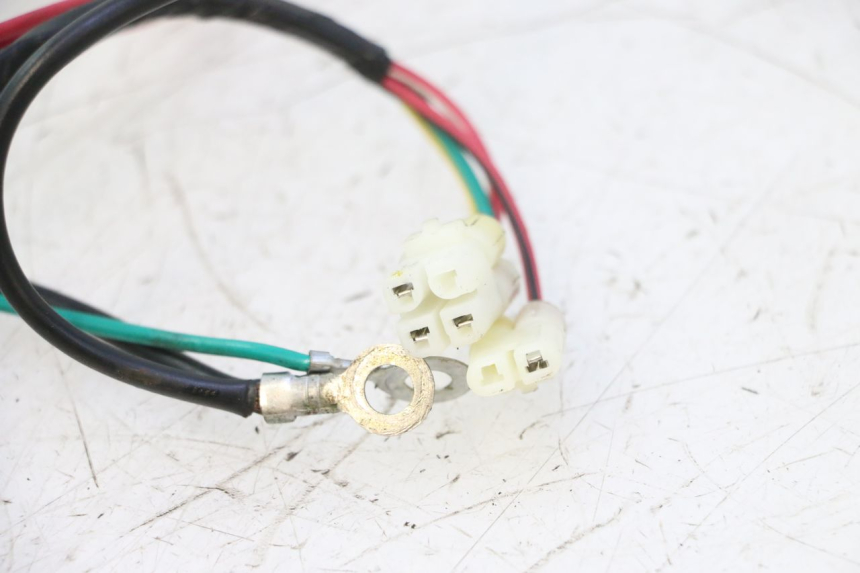 photo de FAISCEAU TNT MOTOR ROMA 12' 2T 50 (2007 - 2018) - Autre angle de vue