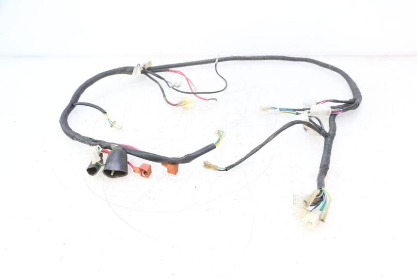 photo de FAISCEAU TNT MOTOR ROMA 12' 2T 50 (2007 - 2018) - Vue principale