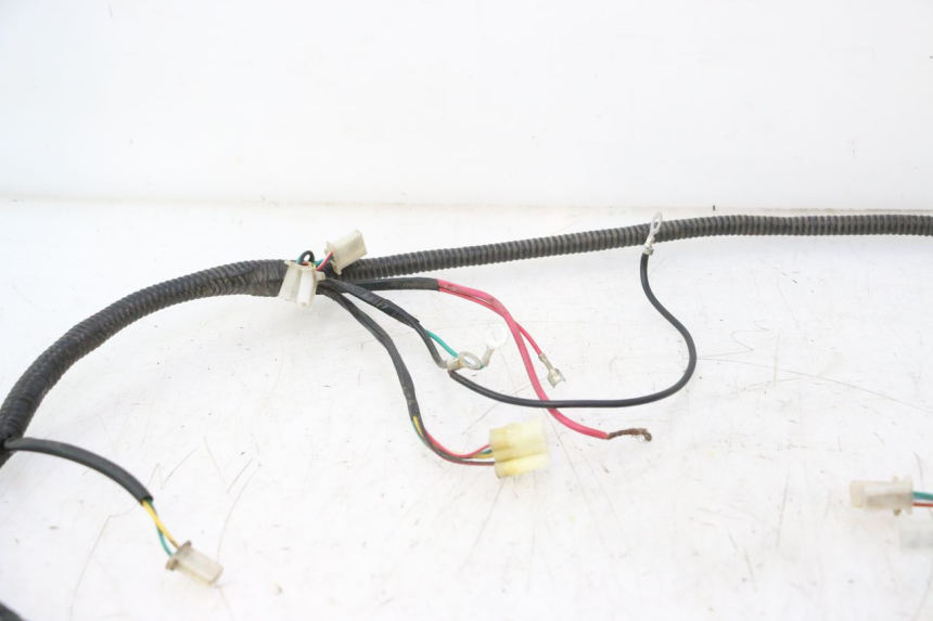 photo de FAISCEAU TNT MOTOR ROMA 12' 2T 50 (2007 - 2018) - Détails caractéristiques